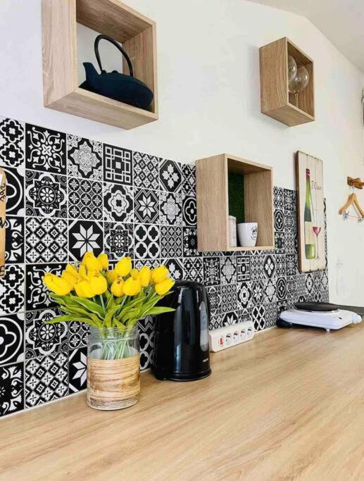 In The Center By The Sea Apartment Nizza
